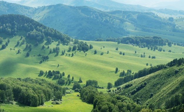 Hills and meadows in the evening light spring greenery