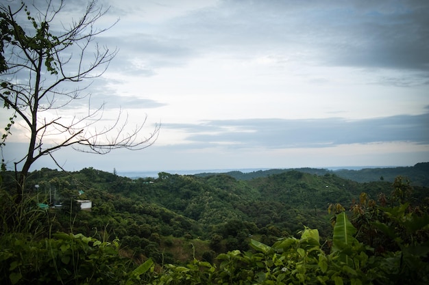 Hilly area with the horizon and sunrise view Mountain forest area with small tourist spots and a dead tree Rural tourist spot photograph at Bandarban Bangladesh Village area with beautiful sky