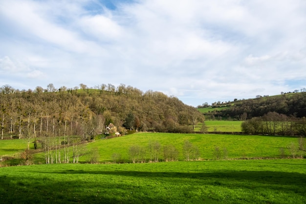 Hilly terrain with green meadows and trees in France