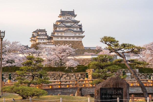 Photo himeji castle in sunset time with cherry blossoms full bloom in the spring hyogo japan