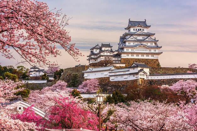 Photo himeji japan at himeji castle during spring cherry blossom season