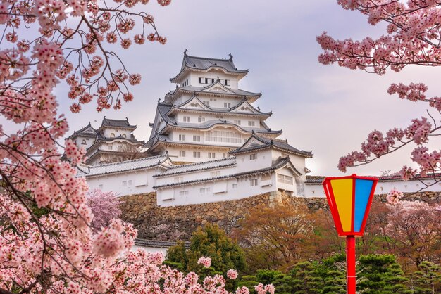 Photo himeji japan at himeji castle during spring cherry blossom season