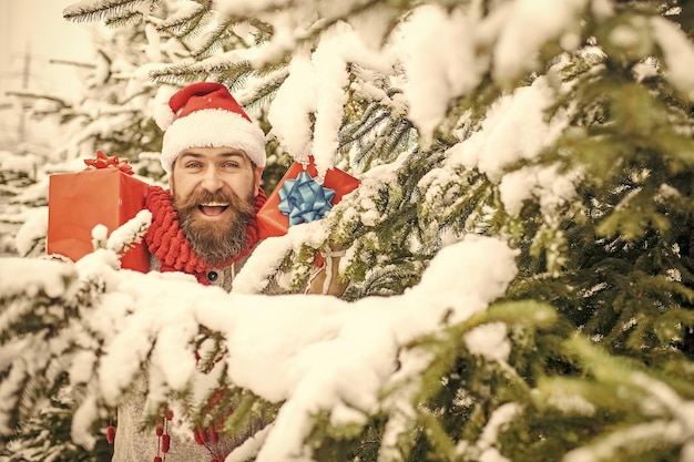 Hipster santa at Christmas tree in snowy winter forest