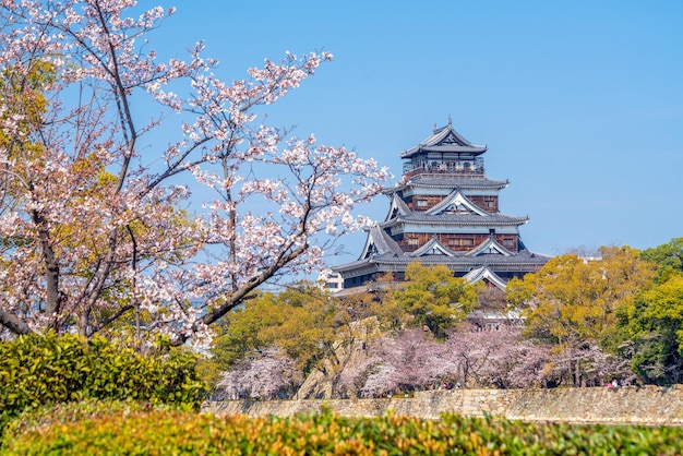 Hiroshima Castle During Cherry Blossom Season in Japan day time