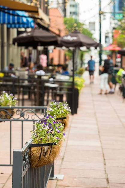 Historical Larimer Square in the Summer.