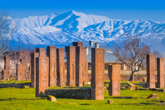 The history of Ahlat Selcuk Cemetery dates back 1000 years