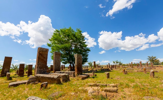 The history of Ahlat Selcuk Cemetery dates back 1000 years