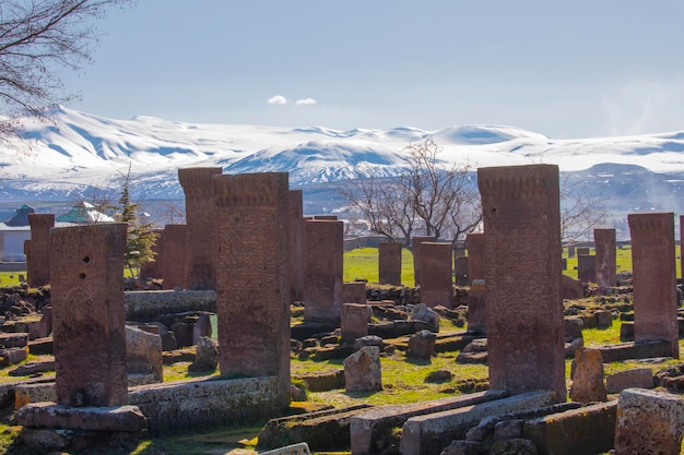 The history of Ahlat Selcuk Cemetery dates back 1000 years