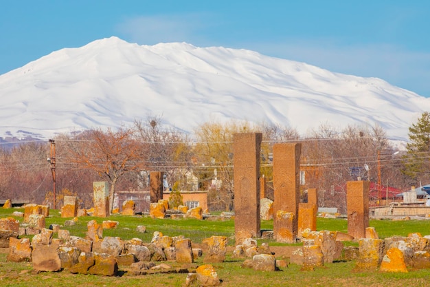 The history of Ahlat Selcuk Cemetery dates back 1000 years