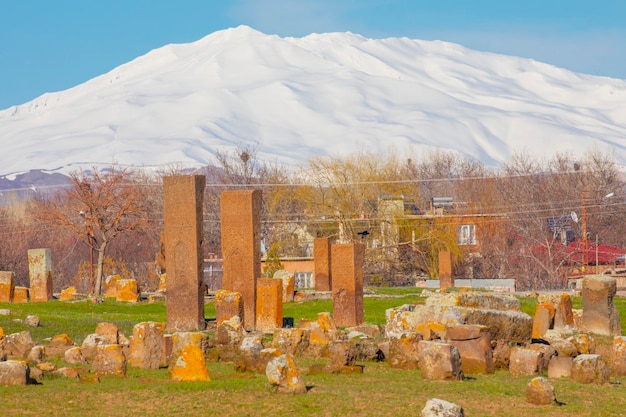 The history of Ahlat Selcuk Cemetery dates back 1000 years