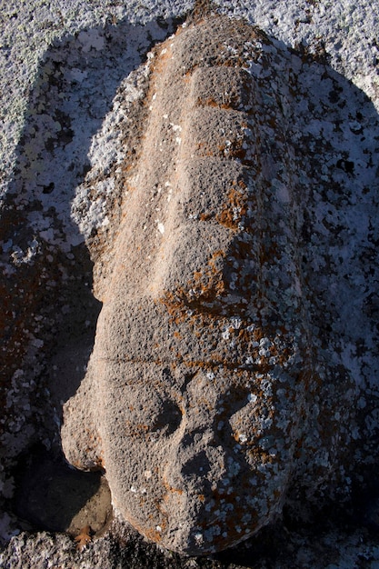 Hittite Monument Fasillar Village Beysehir Konya Turkey