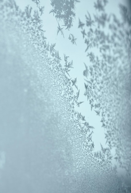 Photo hoar frost on the glass window problems with interior windows during winter frosts