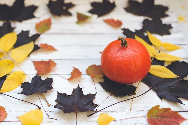 Hokaido pumpkin and leaves on wooden board, white .