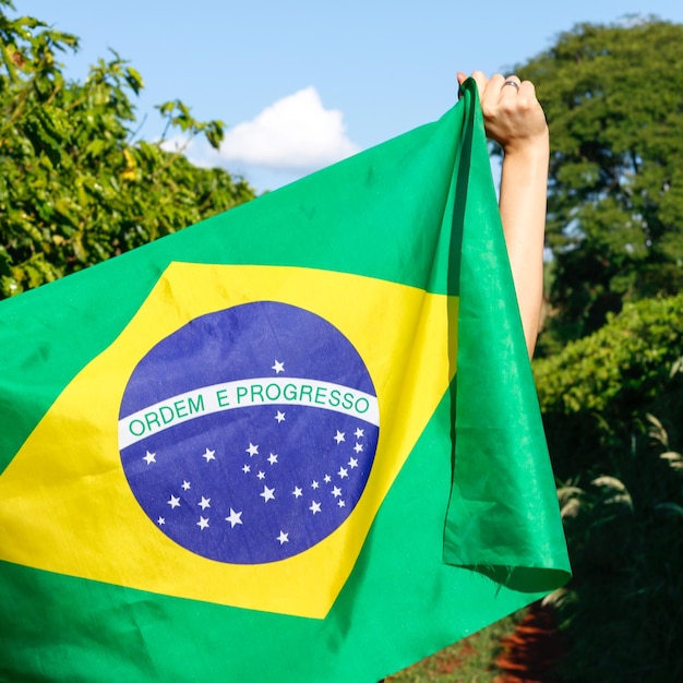 Holding the Brazilian flag in the wind