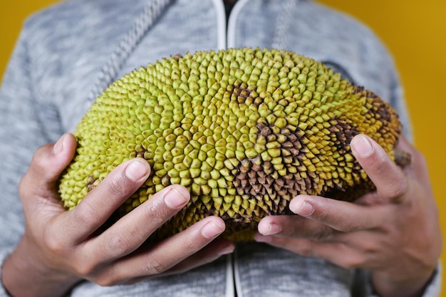 Holding a jackfruits against yellow background