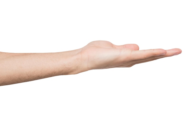 Holding or offering. Outstretched male hand, man keeping empty palm on white isolated background