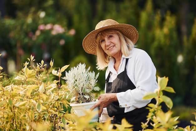 Holding pot in hands Senior woman is in the garden at daytime Conception of plants and seasons