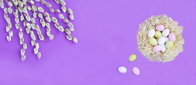 Holiday background Colored easter eggs in a nest of straw and willow flowers on the purple background Copy space