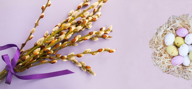 Holiday background Colored easter eggs in a nest of straw and willow flowers on the purple background Copy space