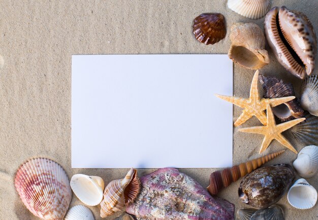 Holiday beach concept with shells, seastars and an blank postcard