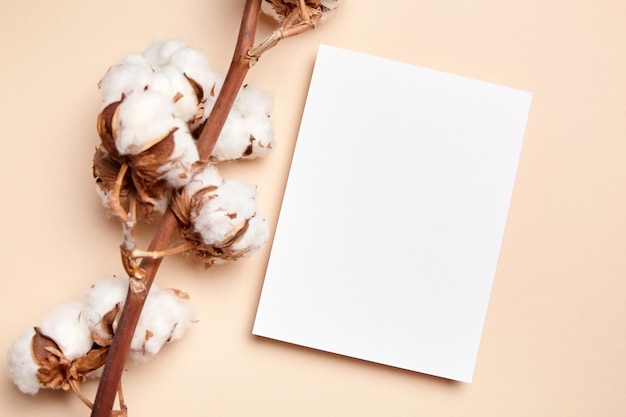 Holiday greeting card or wedding invitation mockup with branch of dried cotton with white flowers on beige background top view flat lay