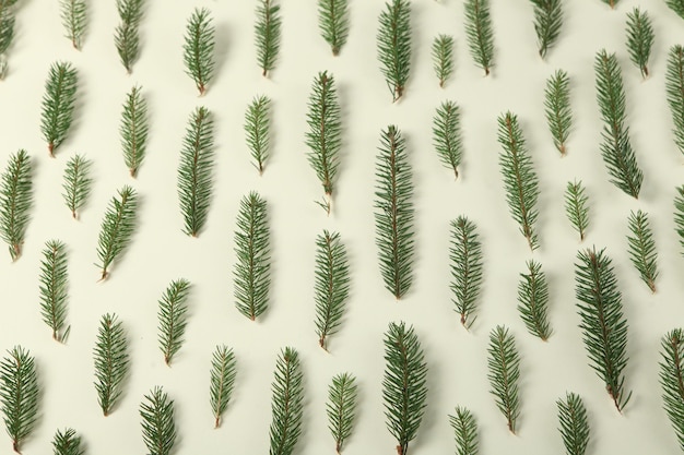 Holidays greeting card or banner composition with pine tree branches.