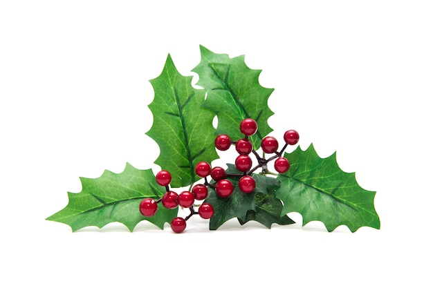 Holly berry leaves Christmas decoration isolated on white