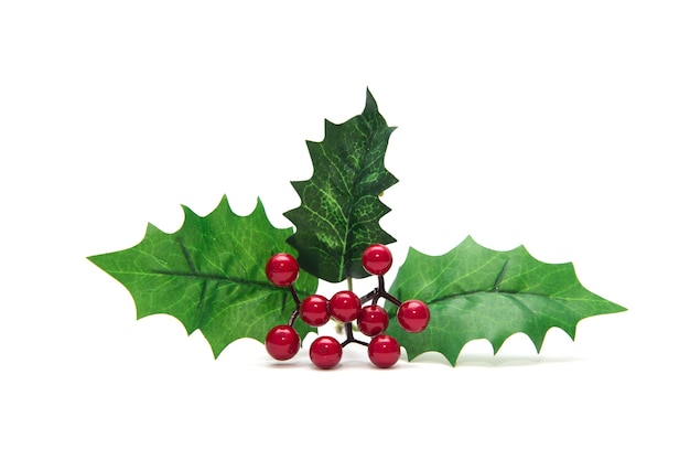 Holly berry leaves Christmas decoration isolated on white