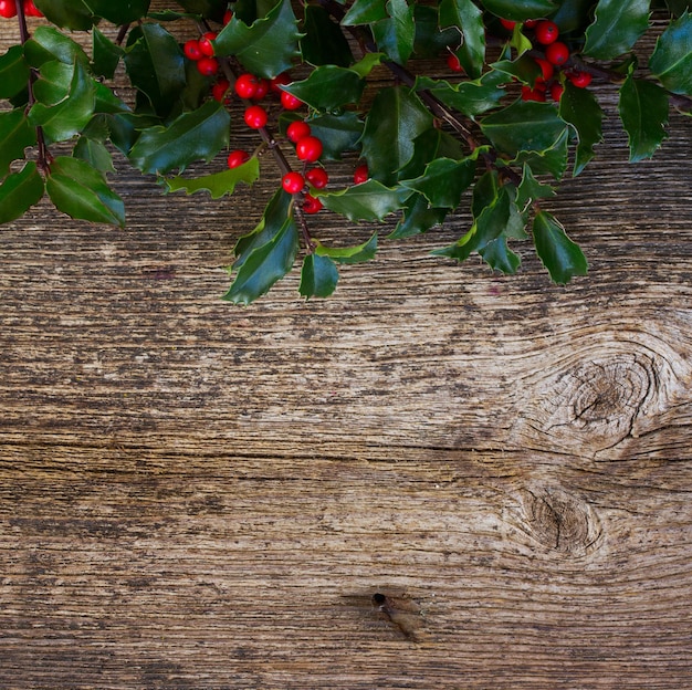 Holly branch on wood