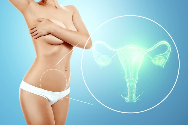 A hologram of the female organ of the uterus and the female body of a young girl. Medical examination, women's consultation, ultrasound, gynecology, obstetrics, pregnancy.