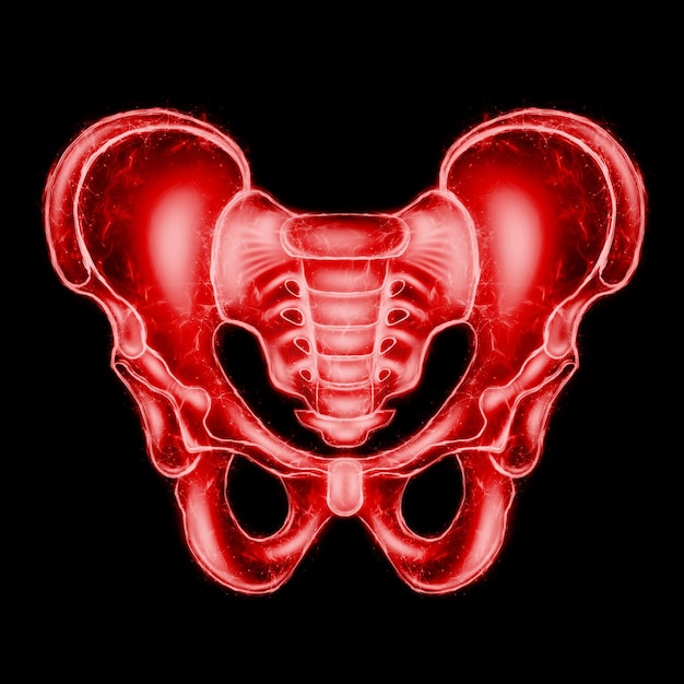 Hologram ultrasound image anterior view of the male pelvis sacrum isolated on a black background Anatomy medicine scientific concepts 3D rendering 3D illustration