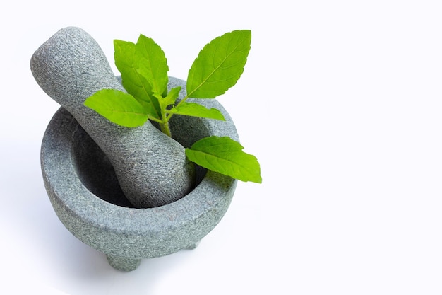 Holy basil leaves in rock mortar with pestle on white