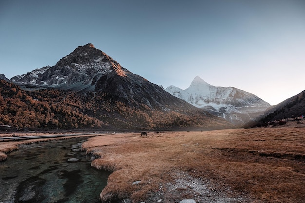 Holy mountain Yangmaiyong with horse on meadow in the sunset at Yading nature reserve