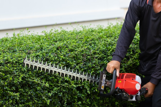 Home and garden concept. Hedge trimmer in action. Bush trimming work. 