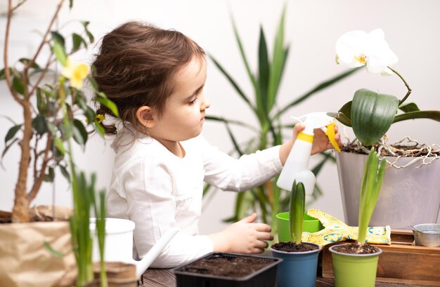 Home gardening little kid girl helping to care for home plants green environment at home