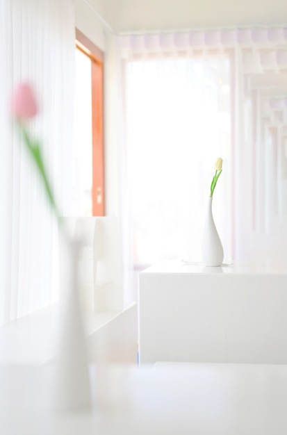 Home interior floral decor. Minimal floral soft white composition  in vase on white wall background.