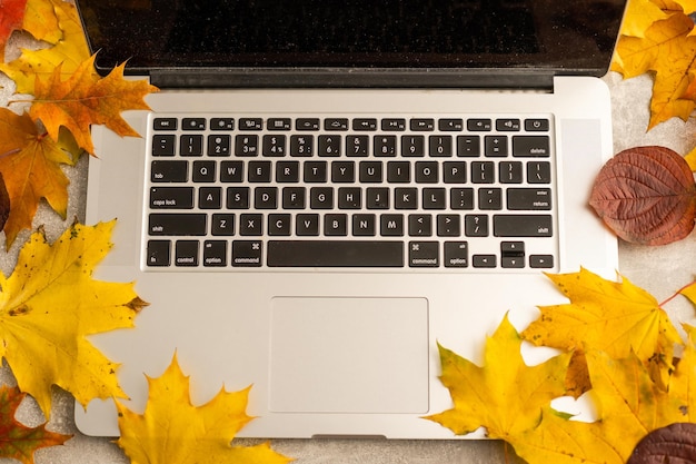 Photo home office desk with laptop, autumn leaves on a white background. stylish flat lay home office desk workspace with laptop. autumn or winter concept. top view of cozy office desk.