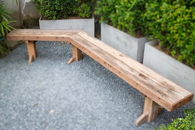 Home plants in wooden architecture