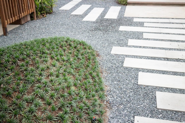 Home plants in wooden architecture