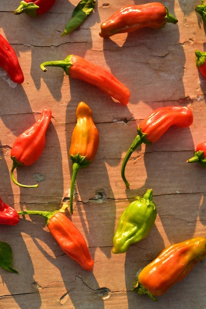 Photo homegrown red orange and green small hot chili peppers spicy vegetable ingredient for cooking