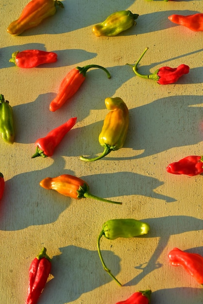 Photo homegrown red orange and green small hot chili peppers spicy vegetable ingredient for cooking