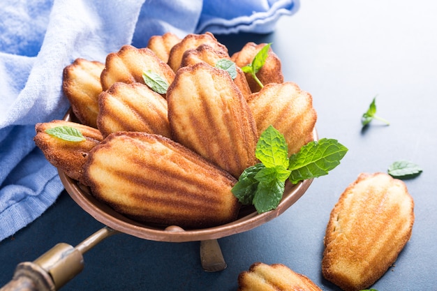 Homemade anise cookies Madeleine