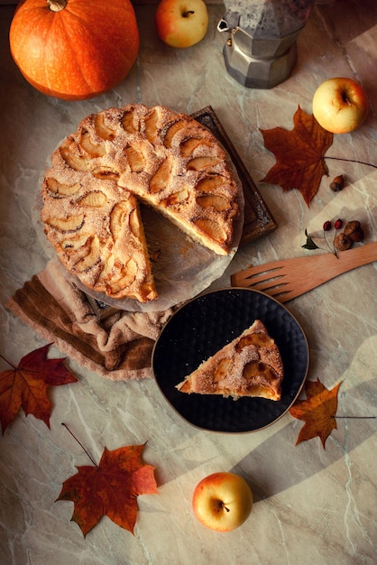 Homemade apple pie on a white background top view copy space