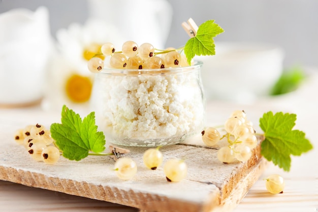 Homemade cottage cheese and ripe white currants Healthy breakfast