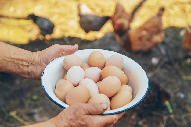 Homemade eggs in grandmother's hands. Selective focus.