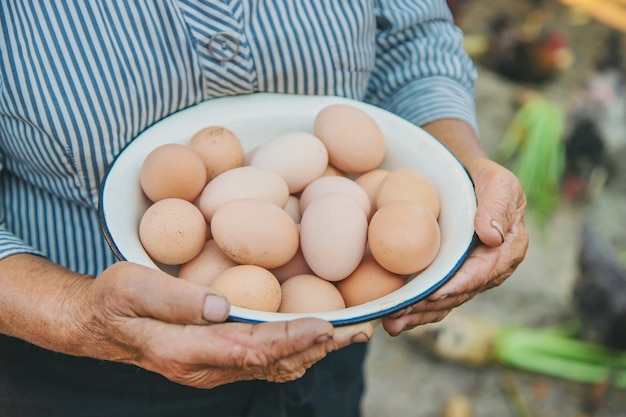 Homemade eggs in grandmother's hands