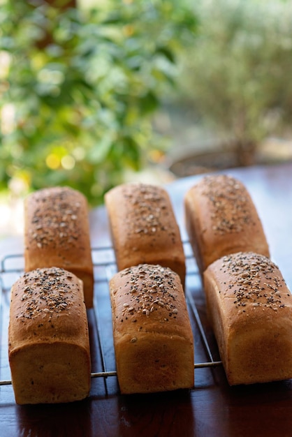 Homemade freshly baked white grain bread on a baking rack against a background of summer green leaves Soft selective focus