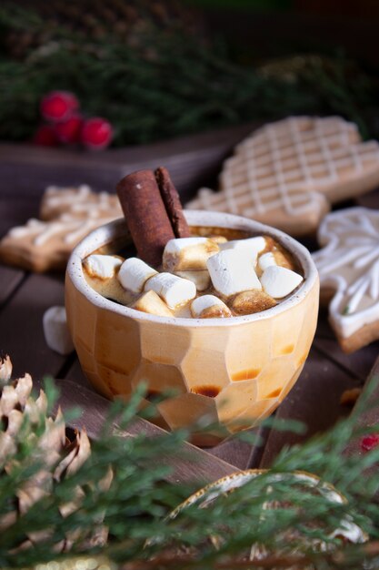 Homemade hot chocolate with marshmallows