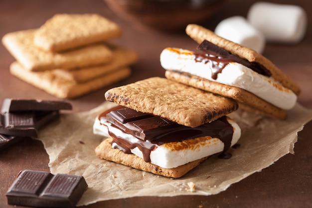 Homemade marshmallow s'mores with chocolate on crackers