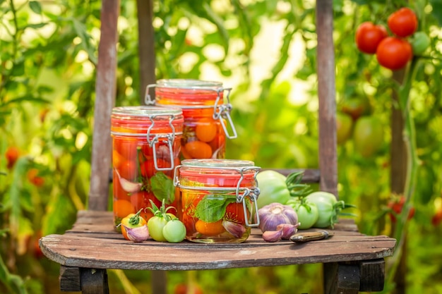 Homemade and natural pickled tomatoes with galic and dill